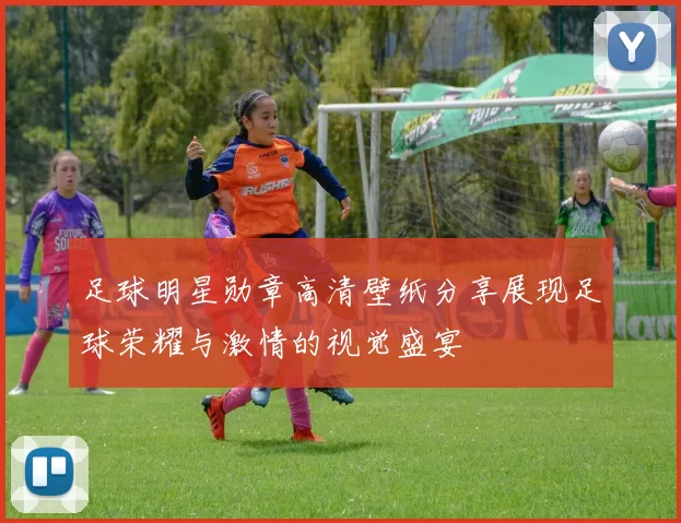 足球明星勋章高清壁纸分享展现足球荣耀与激情的视觉盛宴