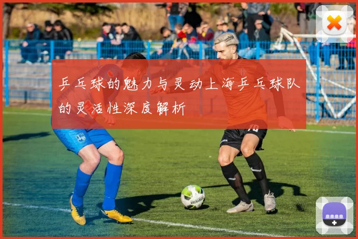乒乓球的魅力与灵动上海乒乓球队的灵活性深度解析