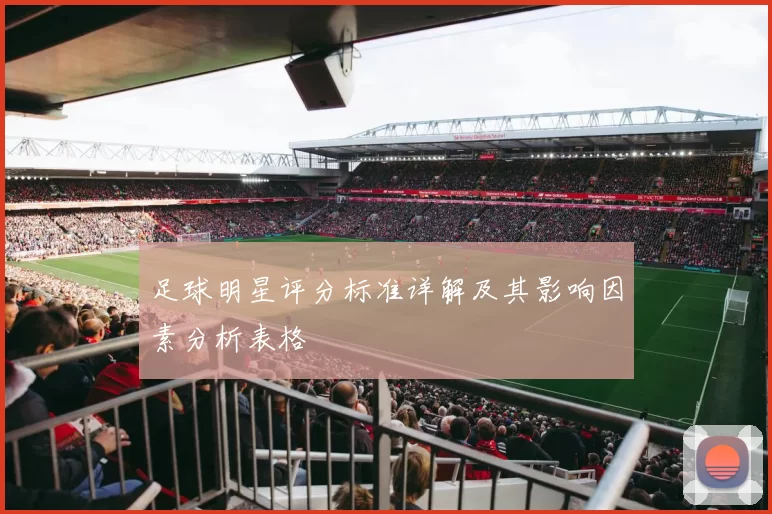 足球明星评分标准详解及其影响因素分析表格