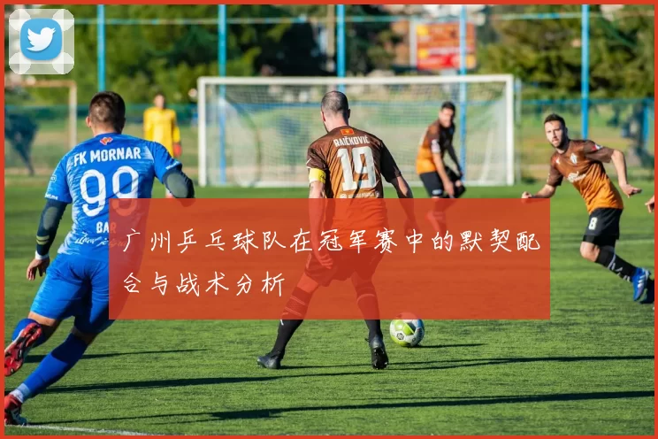 广州乒乓球队在冠军赛中的默契配合与战术分析