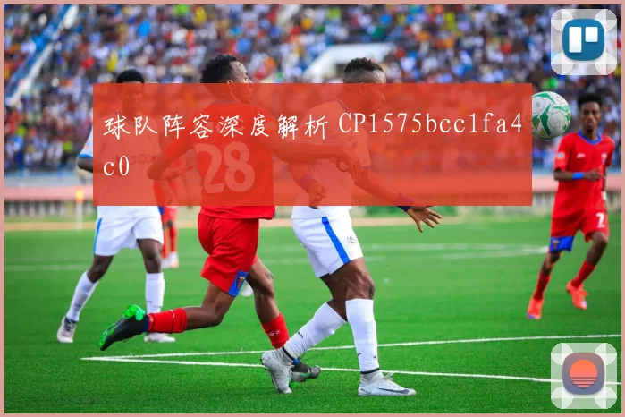 球队阵容深度解析 CP1575bcc1fa4c0
