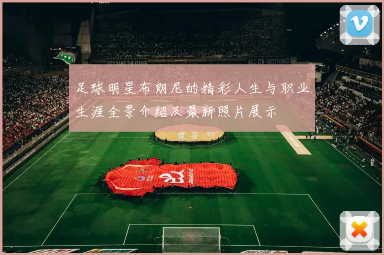 足球明星布朗尼的精彩人生与职业生涯全景介绍及最新照片展示