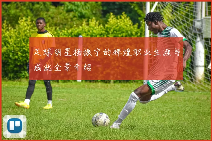 足球明星杨振宁的辉煌职业生涯与成就全景介绍
