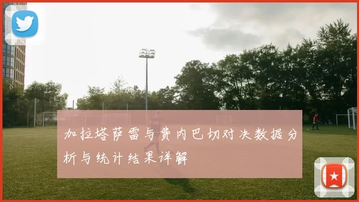 加拉塔萨雷与费内巴切对决数据分析与统计结果详解