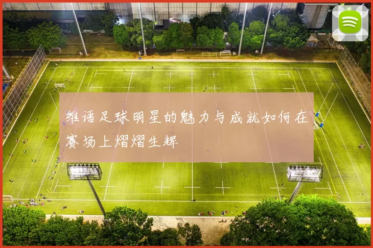 维语足球明星的魅力与成就如何在赛场上熠熠生辉