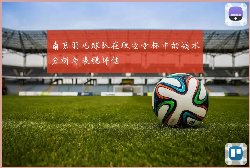 南京羽毛球队在联合会杯中的战术分析与表现评估