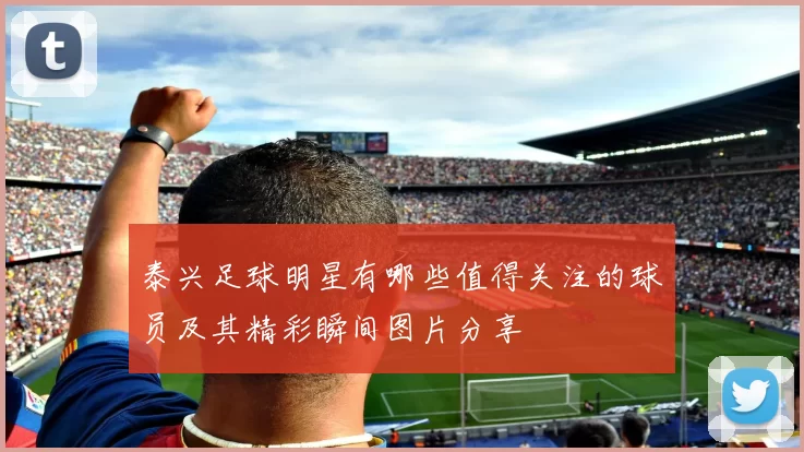 泰兴足球明星有哪些值得关注的球员及其精彩瞬间图片分享