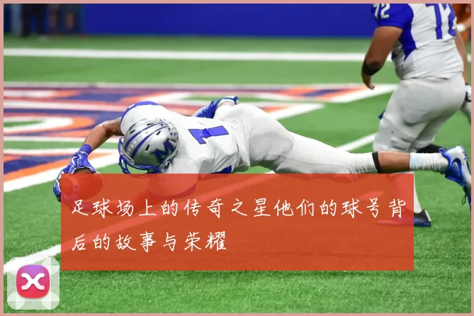 足球场上的传奇之星他们的球号背后的故事与荣耀