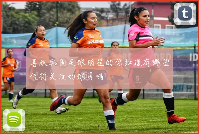 喜欢韩国足球明星的你知道有哪些值得关注的球员吗