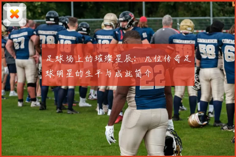 足球场上的璀璨星辰：几位传奇足球明星的生平与成就简介