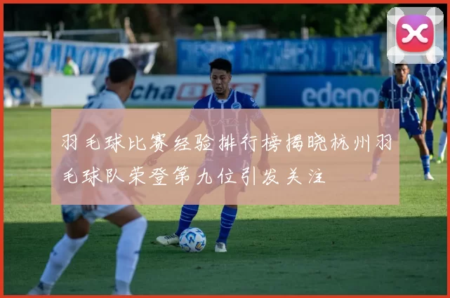 羽毛球比赛经验排行榜揭晓杭州羽毛球队荣登第九位引发关注