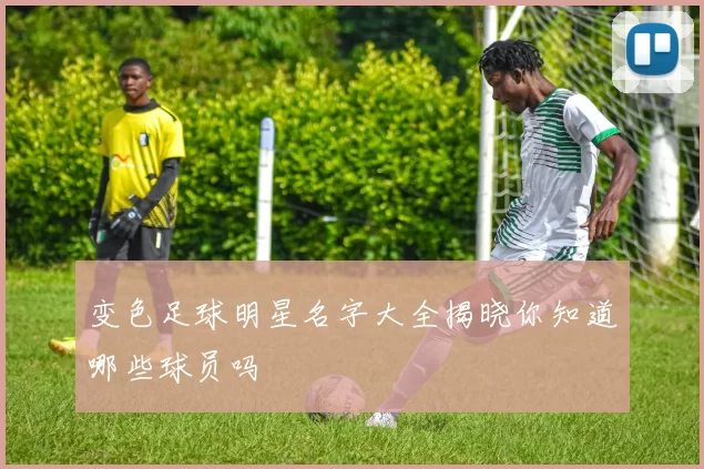 变色足球明星名字大全揭晓你知道哪些球员吗