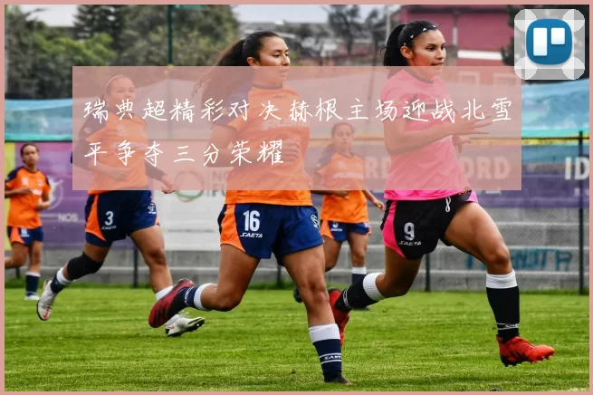 瑞典超精彩对决赫根主场迎战北雪平争夺三分荣耀