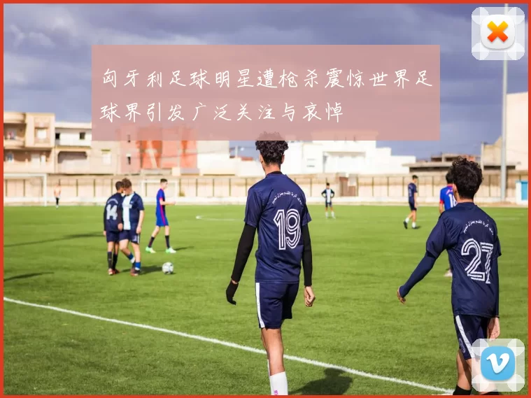 匈牙利足球明星遭枪杀震惊世界足球界引发广泛关注与哀悼