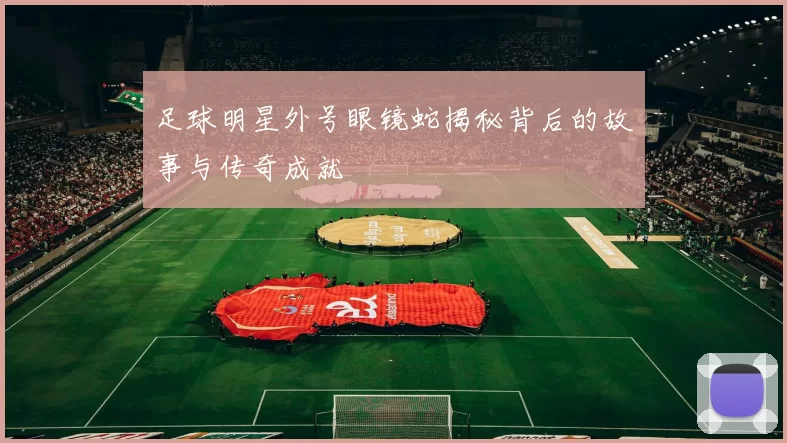 足球明星外号眼镜蛇揭秘背后的故事与传奇成就