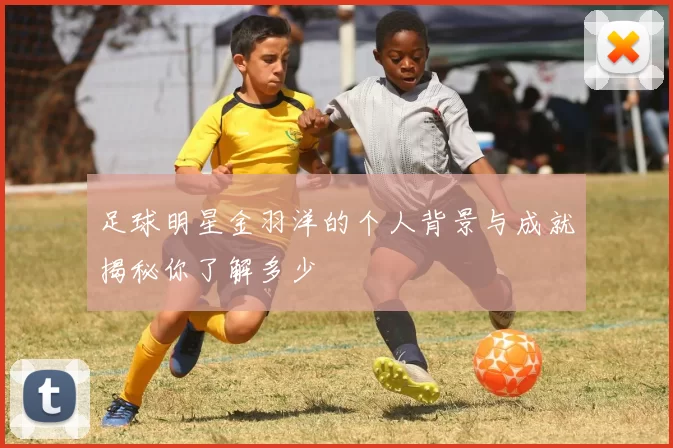 足球明星金羽洋的个人背景与成就揭秘你了解多少